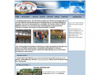 sportniks.de Webseite Vorschau