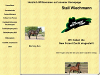 stall-wiechmann.de Webseite Vorschau