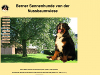 berner-sennenhunde-nussbaumwiese.de Webseite Vorschau