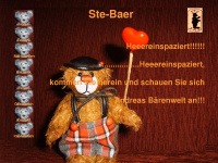 ste-baer.de Webseite Vorschau