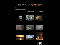 steamfactory.de Webseite Vorschau