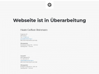 steinmann-ag.ch Webseite Vorschau