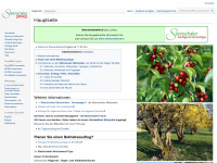 steinschalerwiki.at Webseite Vorschau