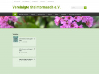 steintormasch.de Webseite Vorschau