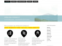 stelzle-consult.de Webseite Vorschau
