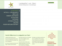 stern-landgasthof.de Webseite Vorschau