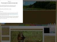 pantanalportal.de Webseite Vorschau