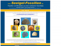 seeigel-fossilien.de Webseite Vorschau