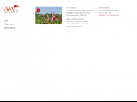 stilz-schnittblumen.de Webseite Vorschau