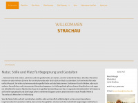 strachau.de Webseite Vorschau