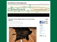 straussenfarm-emminghausen.de Webseite Vorschau