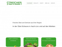 streicher-egg.de Webseite Vorschau