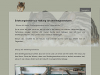 streifengrasmaus.de Webseite Vorschau