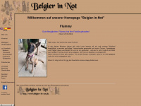 belgier-in-not.de Webseite Vorschau