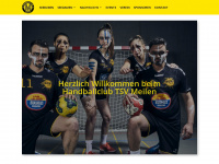 hc-meilen.ch Webseite Vorschau