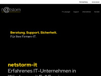 netstorm-it.de Webseite Vorschau