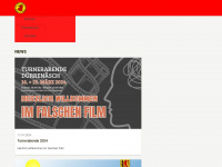 stvd.ch Webseite Vorschau