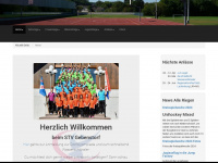 stvgebenstorf.ch Webseite Vorschau