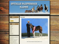 styrian-painthorse-ranch.at Thumbnail
