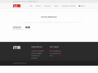 styroporschneider.ch Webseite Vorschau