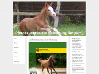 pzv-rotenburg.de Webseite Vorschau