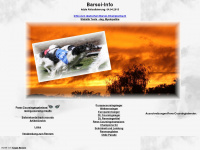 barsoi-info.com Webseite Vorschau