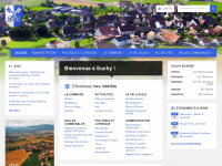 suchy.ch Webseite Vorschau