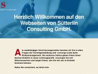 suetterlin-consulting.de Webseite Vorschau