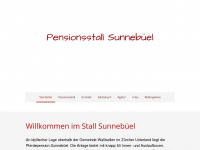 sunnebuel.ch Webseite Vorschau