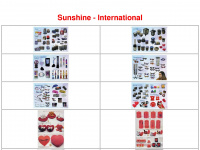 sunshine-international.ch Webseite Vorschau