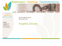supervision-schulze.de Webseite Vorschau