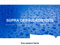 supra-sauber.de Webseite Vorschau