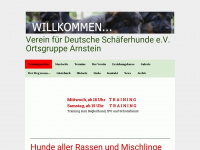 sv-og-arnstein.de Webseite Vorschau