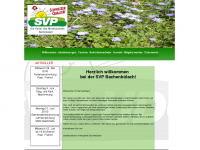 svp-bachenbuelach.ch Webseite Vorschau
