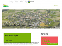 svp-ins.ch Webseite Vorschau
