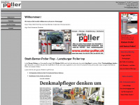 swiss-poller.ch Thumbnail