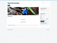 synchronism.de Webseite Vorschau