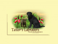 tailors-labrador.de Webseite Vorschau