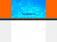 tandjung.ch Webseite Vorschau