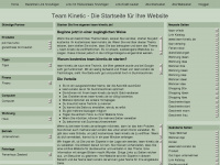 team-kinetic.de Webseite Vorschau
