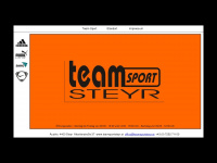 teamsportsteyr.at Webseite Vorschau