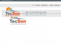 tec-son.de Webseite Vorschau