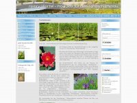 teichpflanzen-online.de Webseite Vorschau