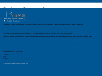 temm-steuerberatung.at Webseite Vorschau