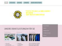 Textilpflege-werner.de