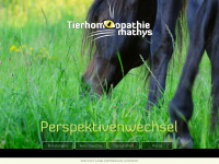 th-mathys.ch Webseite Vorschau