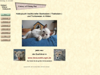 thaikatzen.de Webseite Vorschau