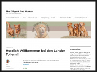 the-diligent-red-hunter.de Webseite Vorschau
