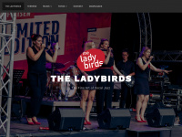 theladybirds.ch Webseite Vorschau