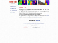 thermo-bild-thermografie.de Webseite Vorschau